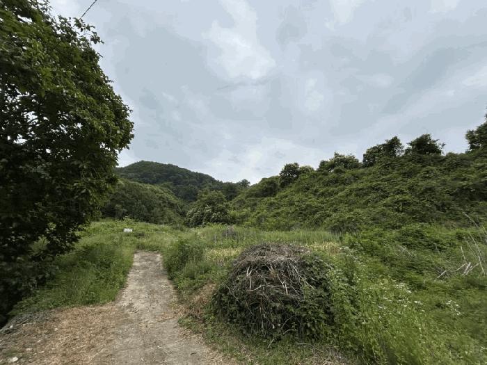 사진 03