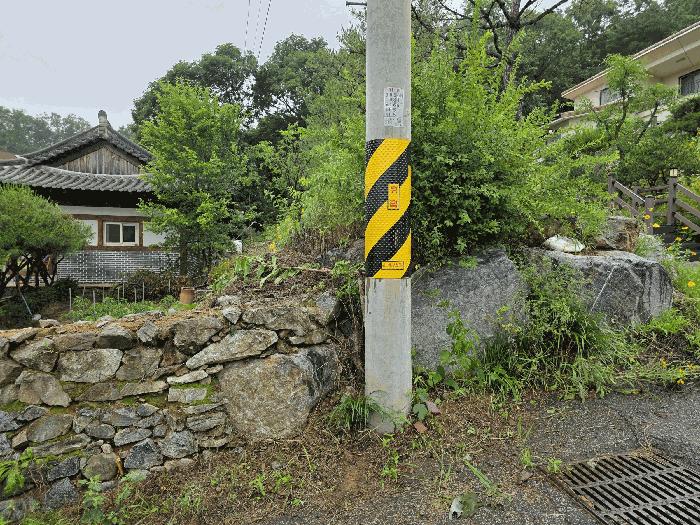 사진 06