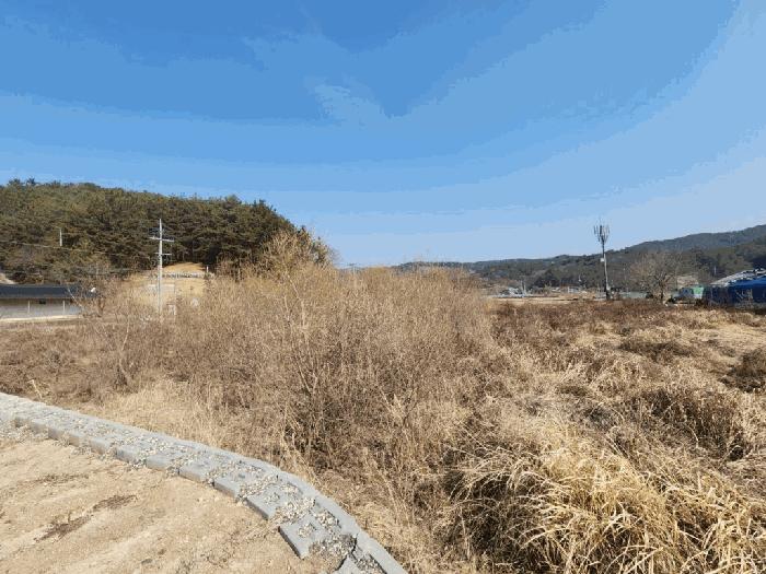 사진 06