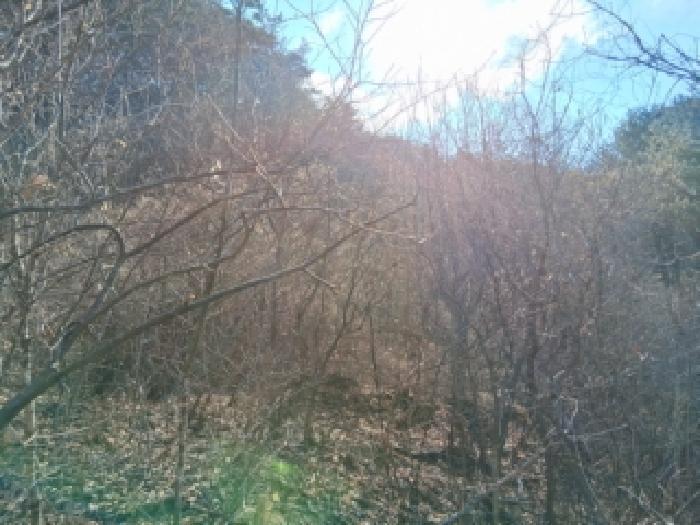 사진 05