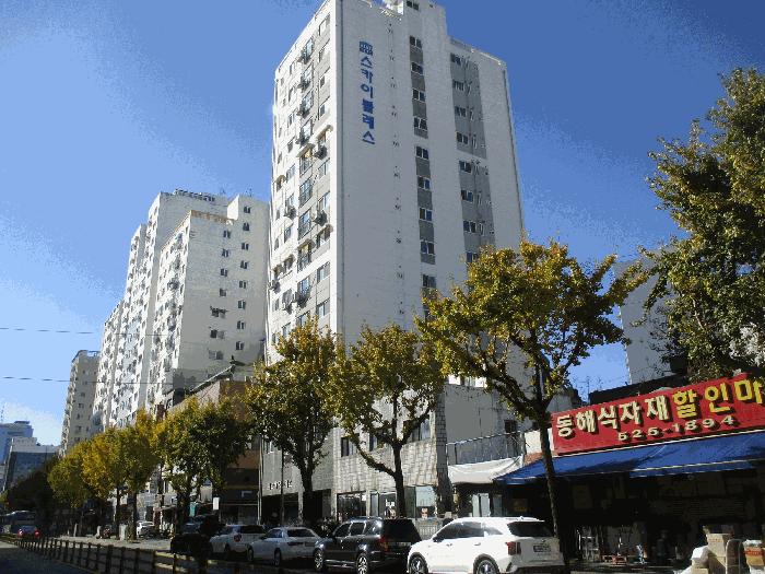 사진 05