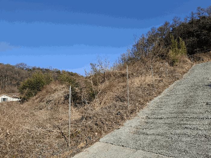 사진 05
