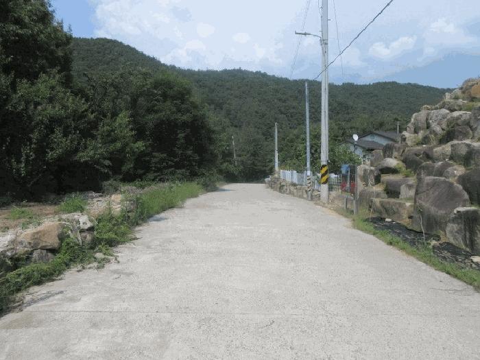 사진 06