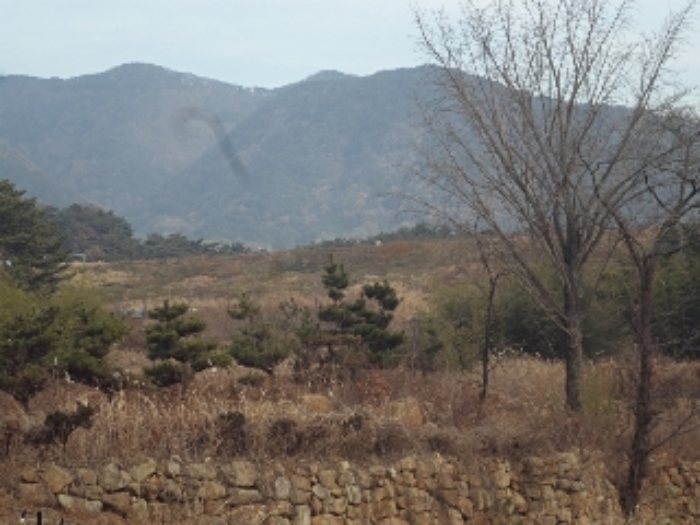 사진 08