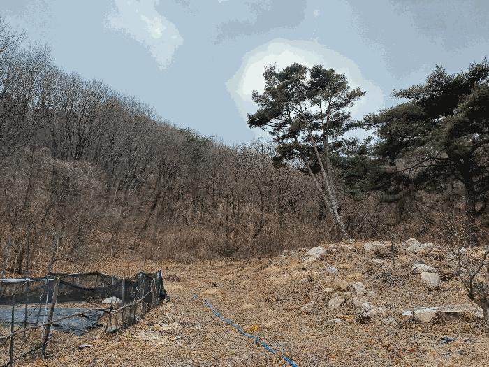 사진 05