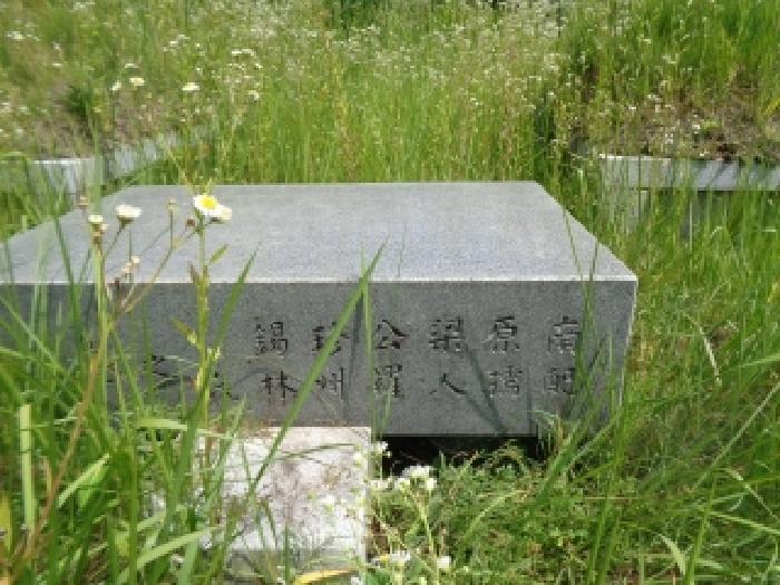 사진 03