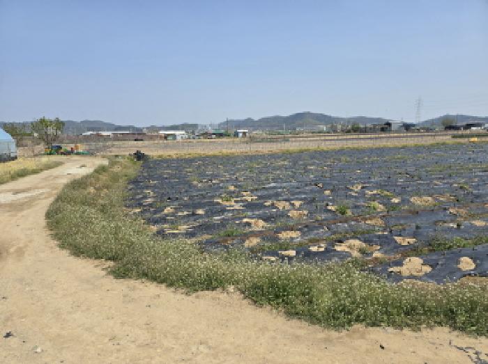 사진 03