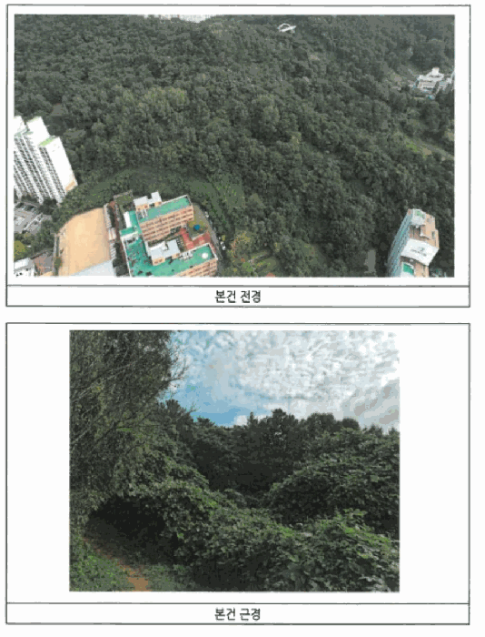 사진 07