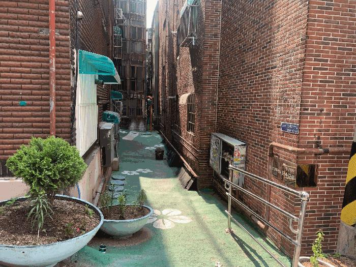 사진 06