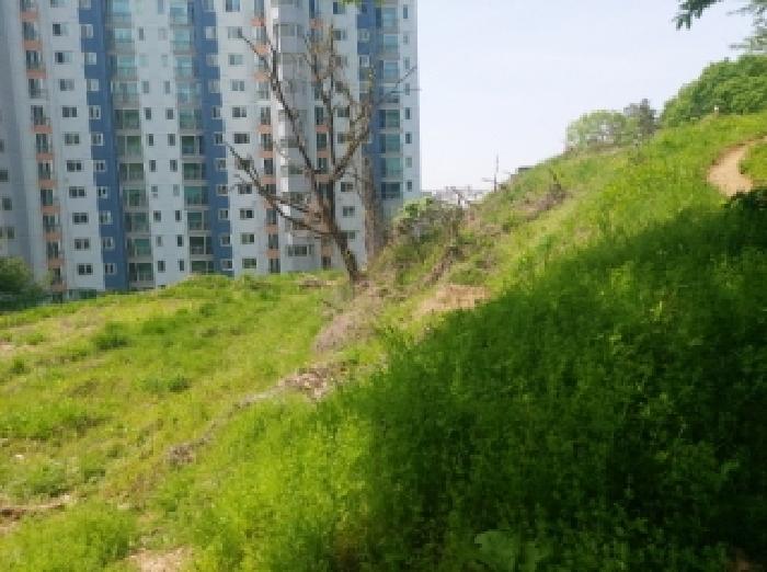 사진 02