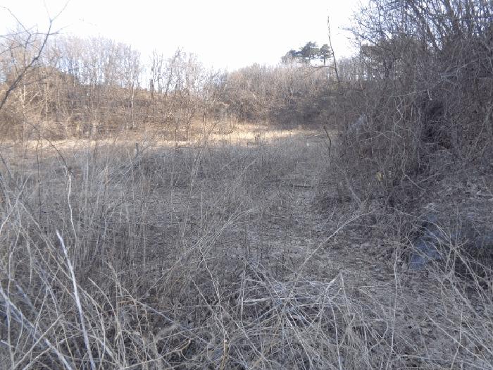 사진 06