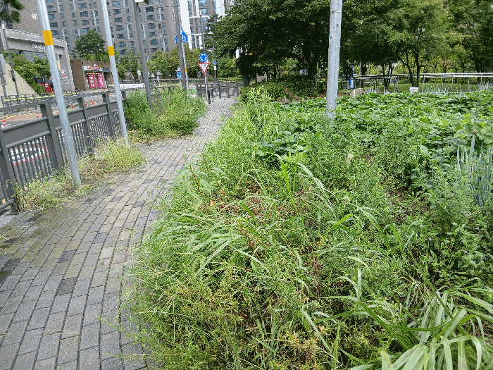 사진 07