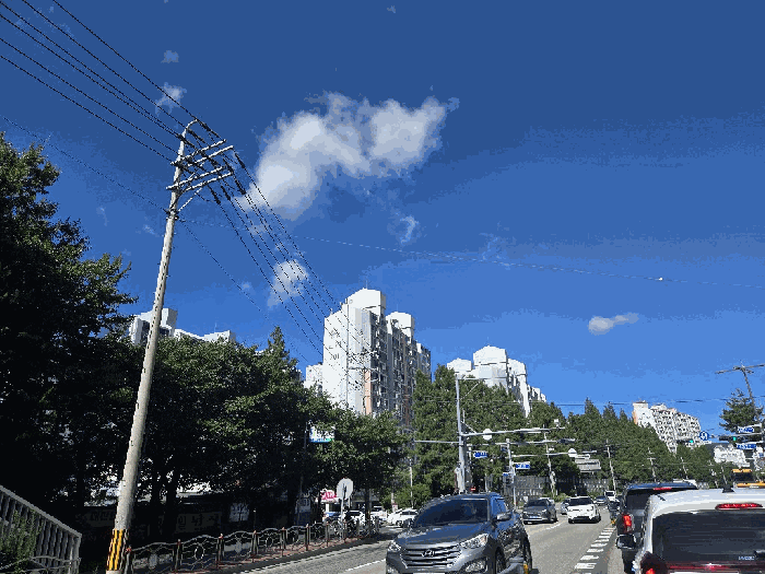 사진 06