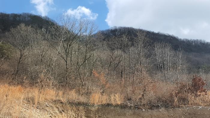 사진 03