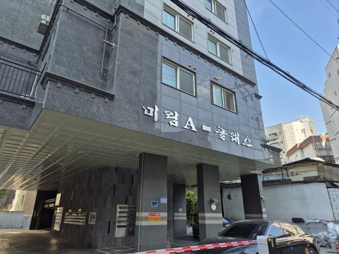 사진 03