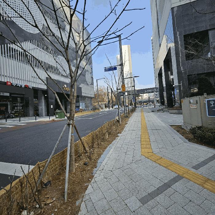 사진 05