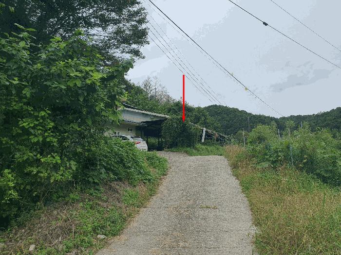 사진 02