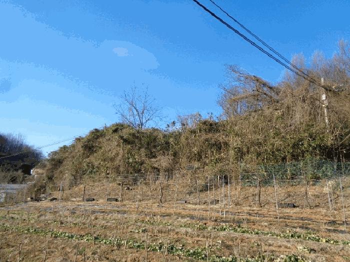 사진 03