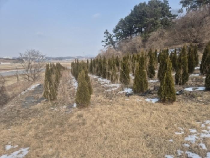 사진 04