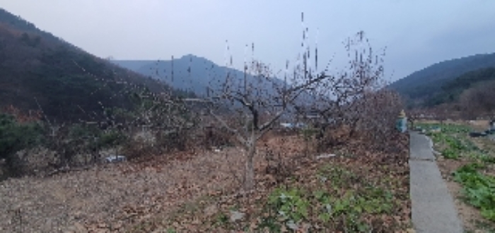 사진 07