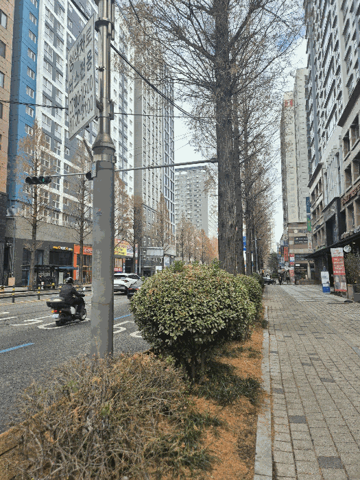 사진 08
