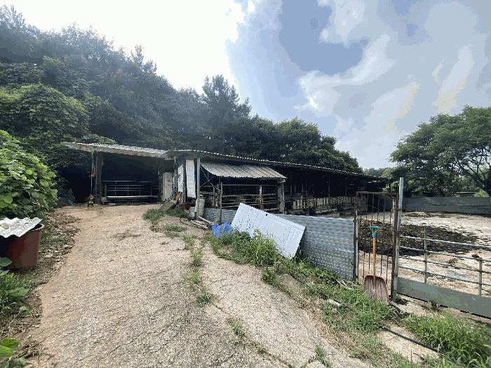사진 02