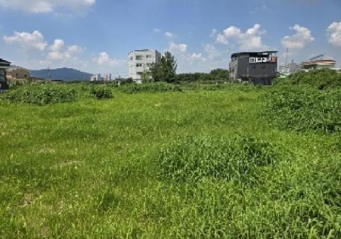 사진 01