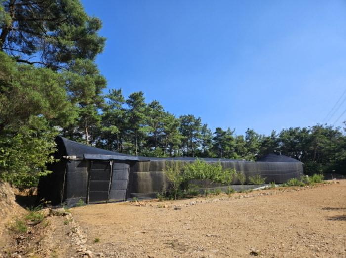 사진 08