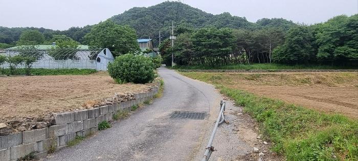 사진 06