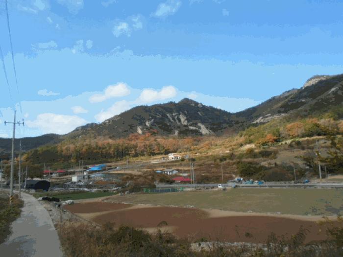 사진 08