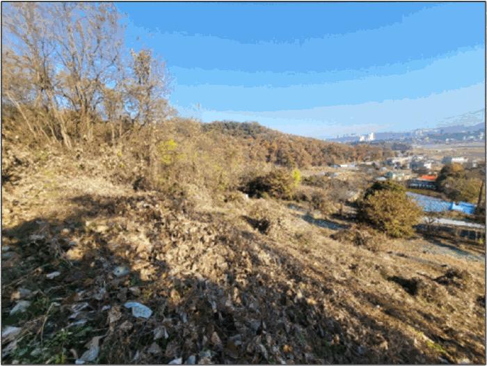 사진 01