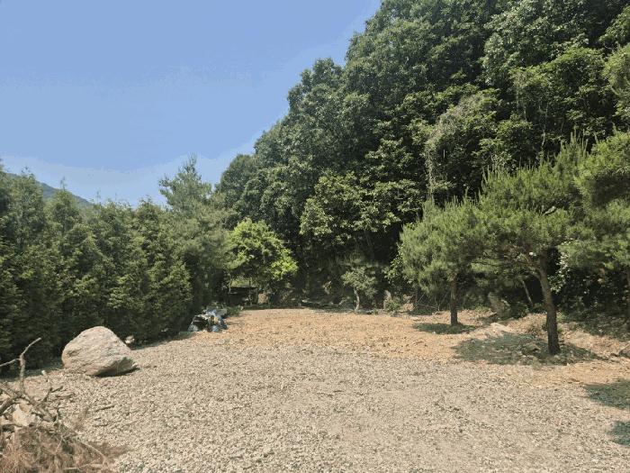 사진 08
