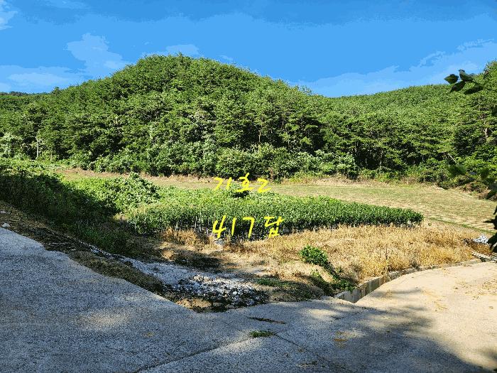 사진 04