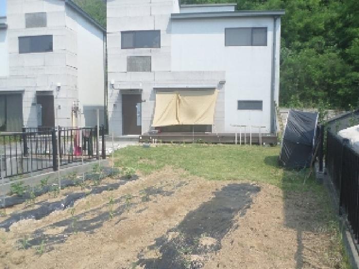 사진 06