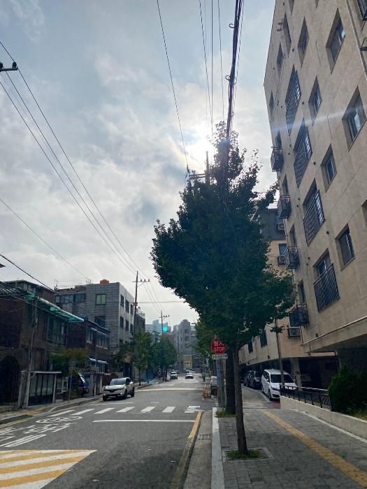 사진 05