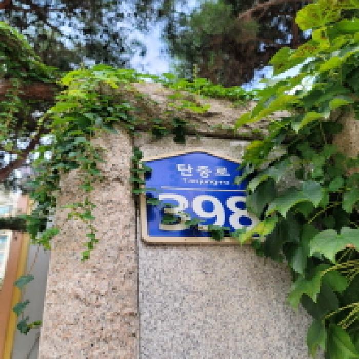 사진 02