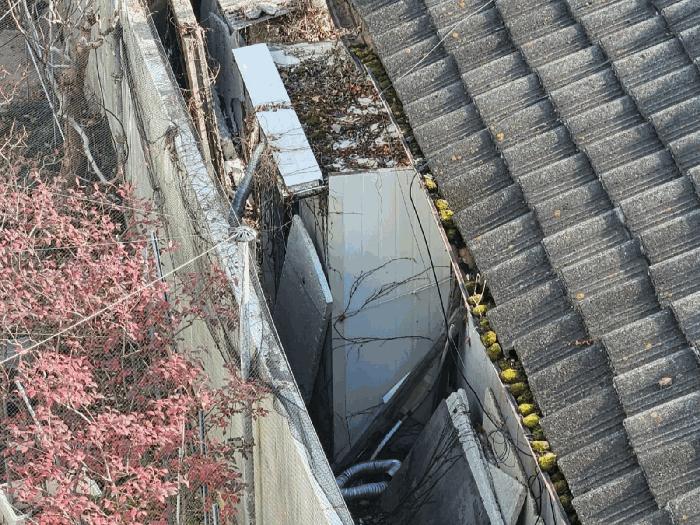 사진 08