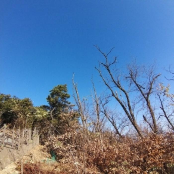 사진 07