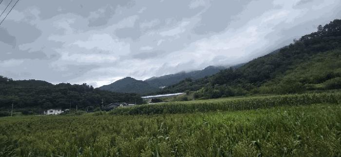 사진 02