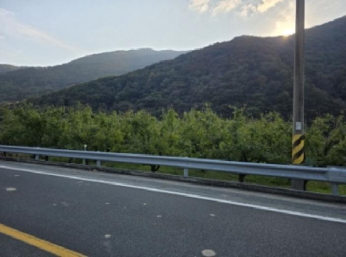 사진 08
