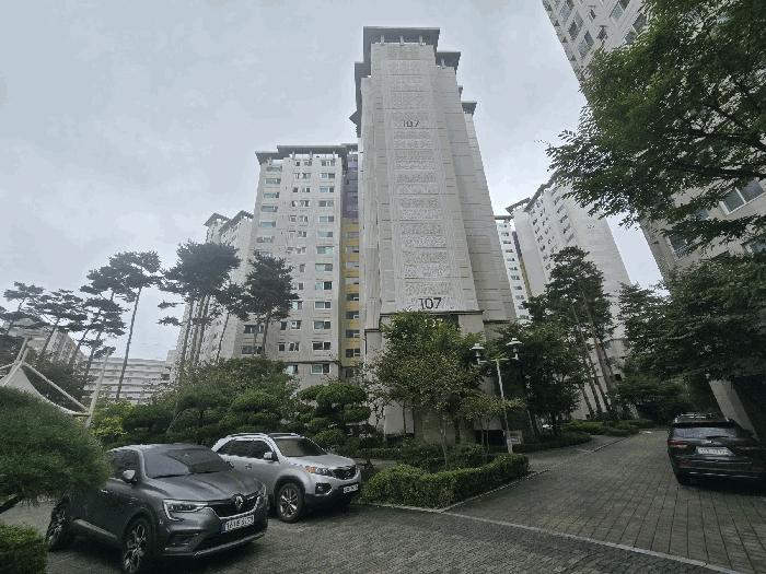 사진 01