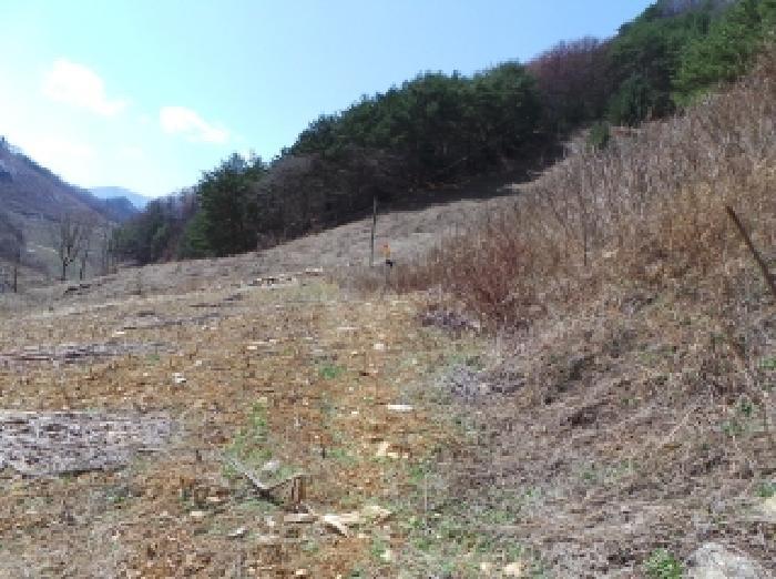 사진 05