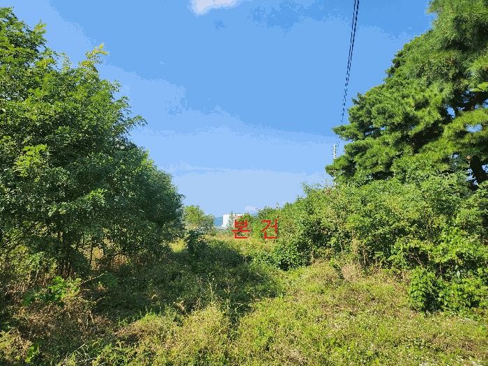 사진 04