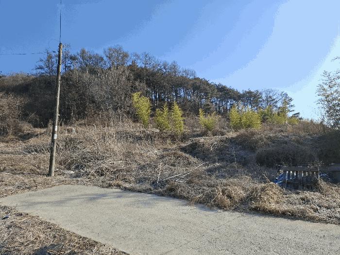사진 07
