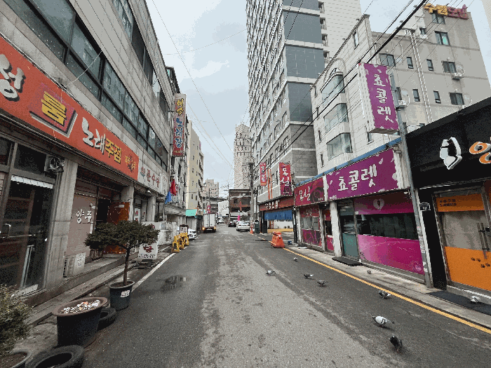 사진 08