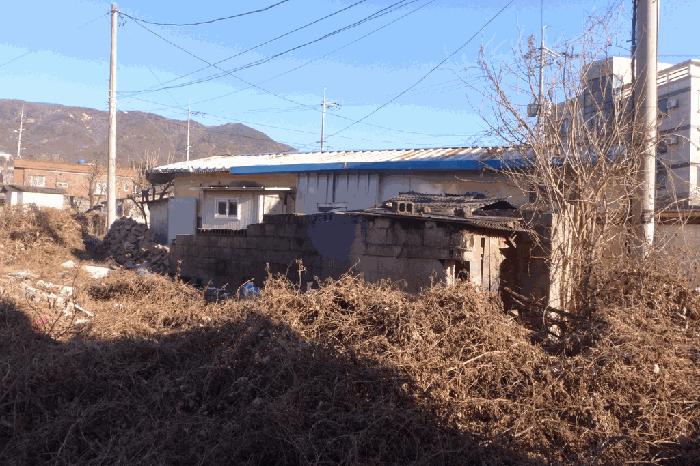 사진 05