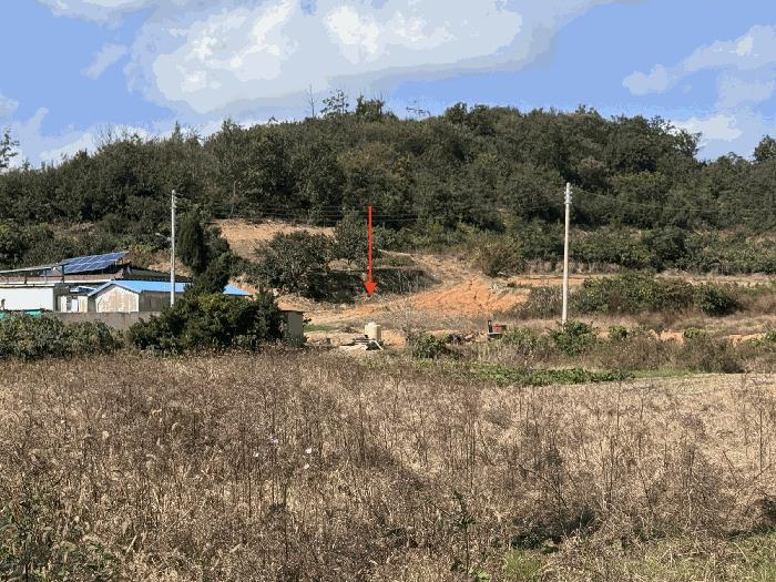 사진 02