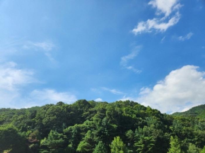 사진 05