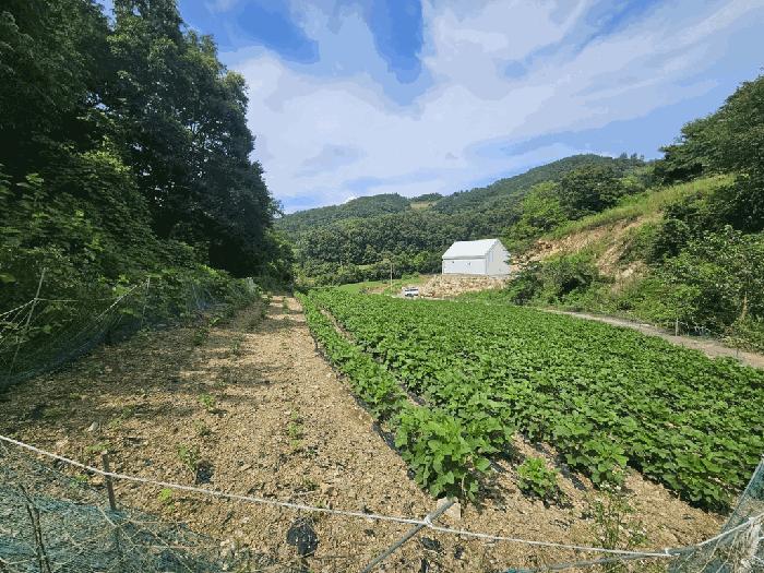 사진 05