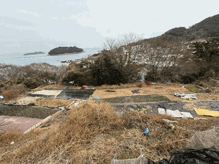 사진 01
